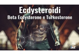 Ecdysteroidi - Beta Ecdysterone e Turkesterone