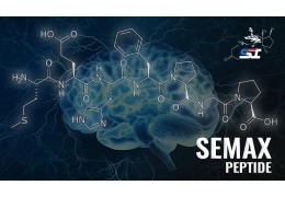 SEMAX - Il peptide Nootropo neuroprotettivo